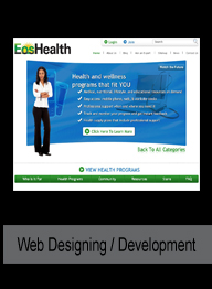 website designing and development