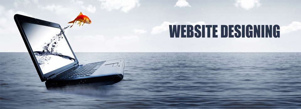 Website Designing website designing