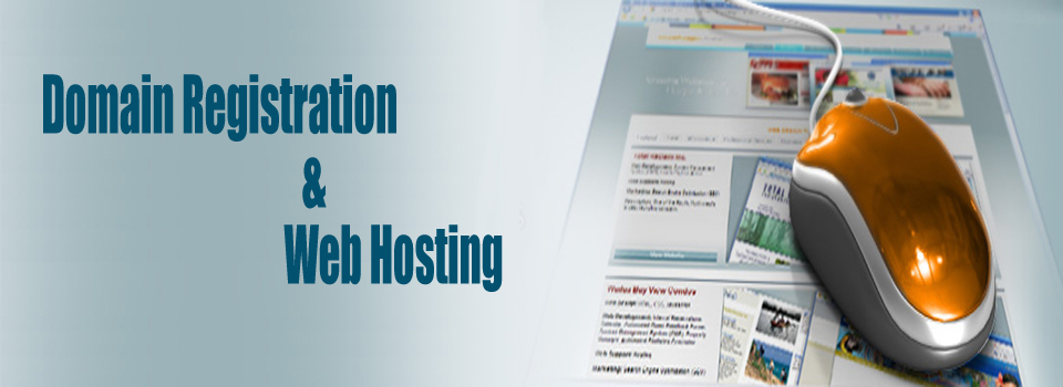 Domain Registration and Web Hosting domain registration and web hosting