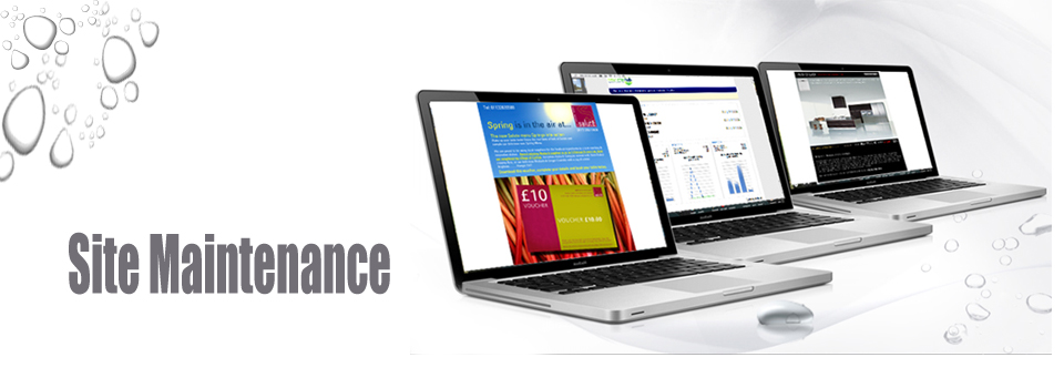 Website Designing website designing